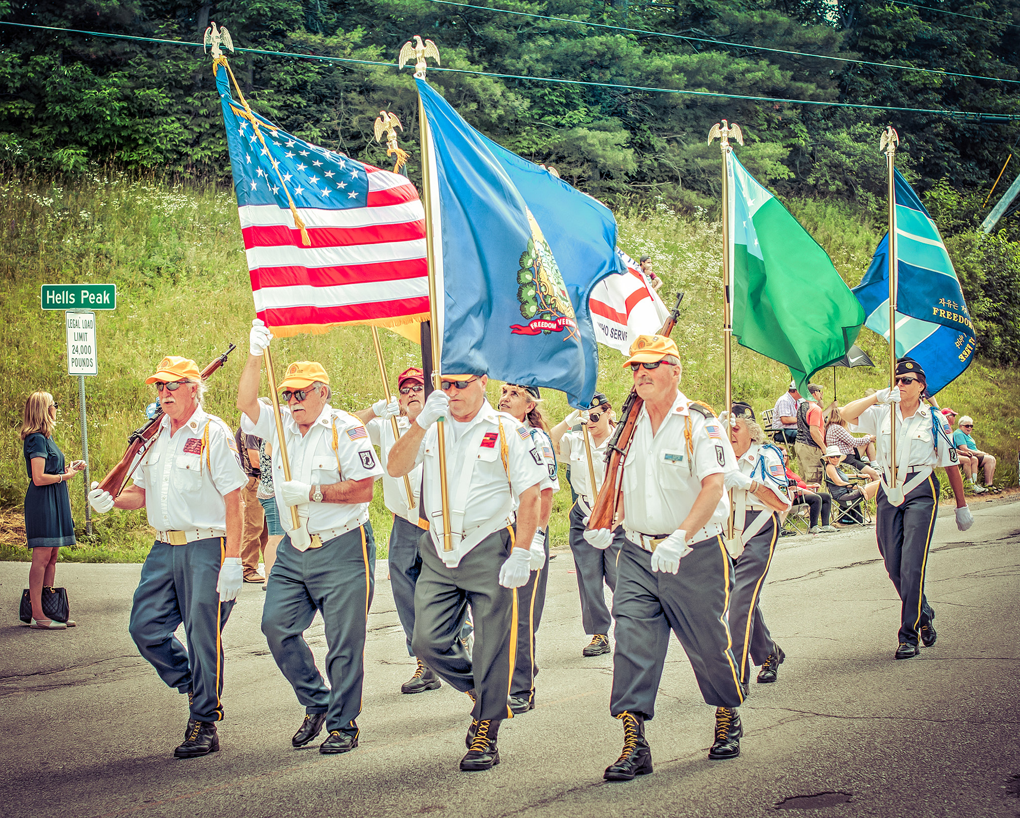 Marching vets