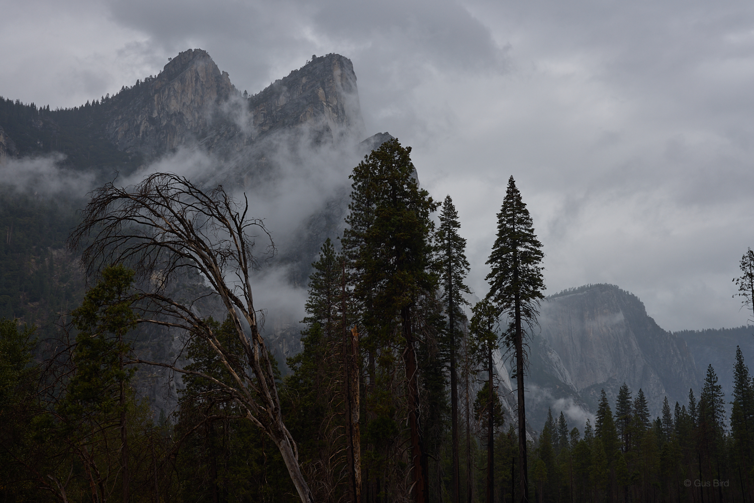 Yosemite rain